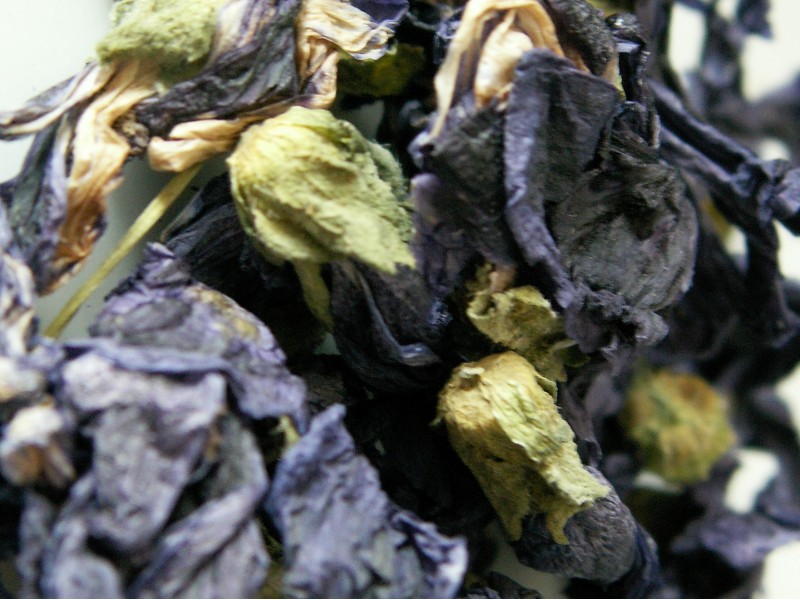 HERBA rastlinsko barvilo MALVA - SLEZENOVEC  (črno)      5 g