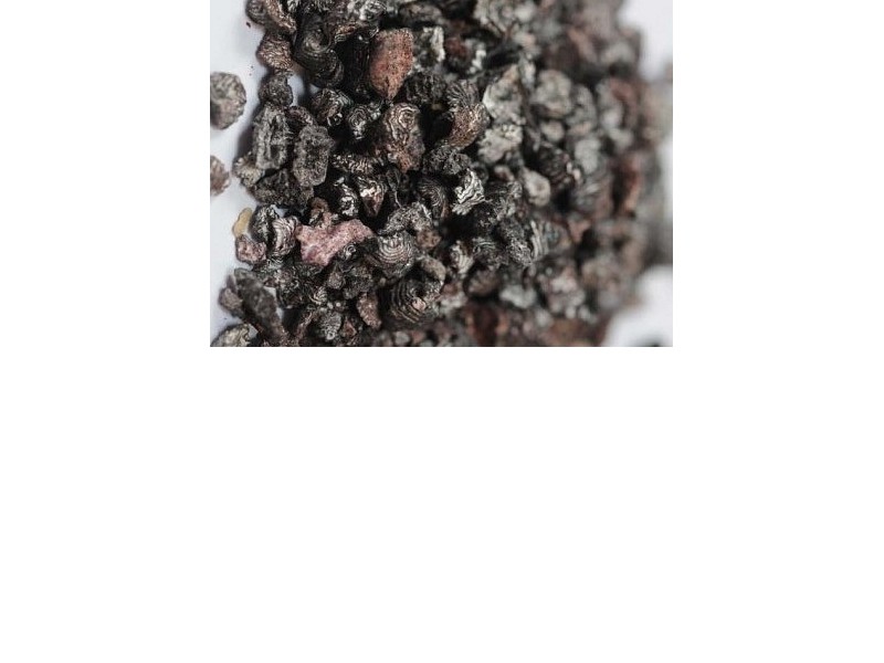 COCHINEAL (Coccus Cacti) 50 g