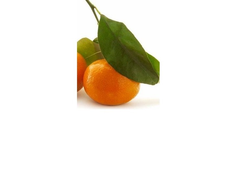 MANDARIN - natural essential oil