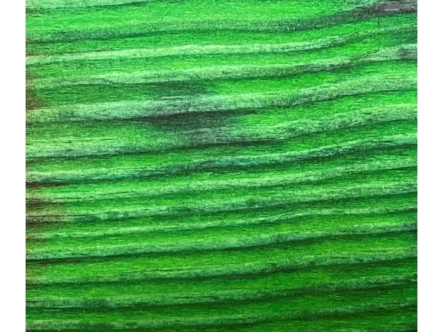 COLORO P Brilliant green 10 g