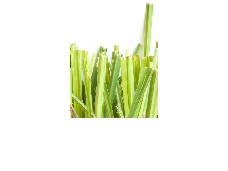 CITRONELLA - natural essential oil