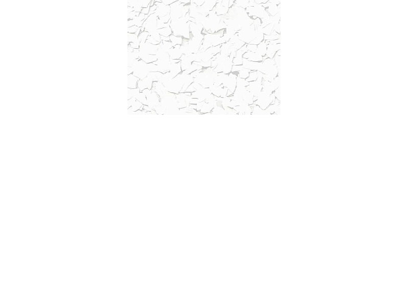 Flecked colored chips for EPOXY and WALL PAINTS, white