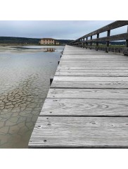 Huiles--baumes--cires--résines