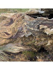 Durcissement--stabilisation--remplissage-des-pores