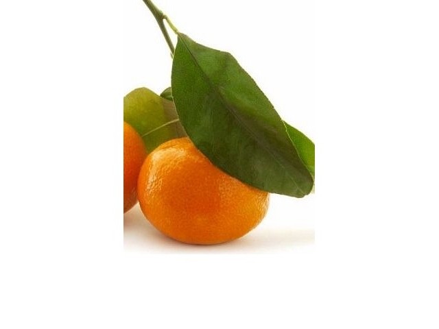MANDARIN - natural essential oil