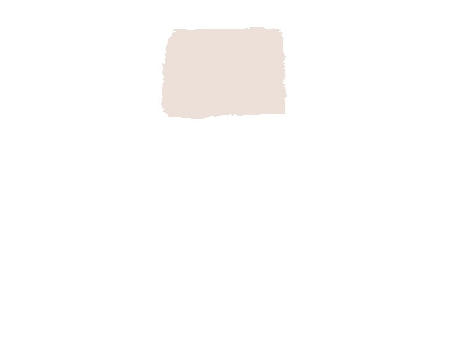 REVIVO Chalk Paint IVORY WHITE 250 ml
