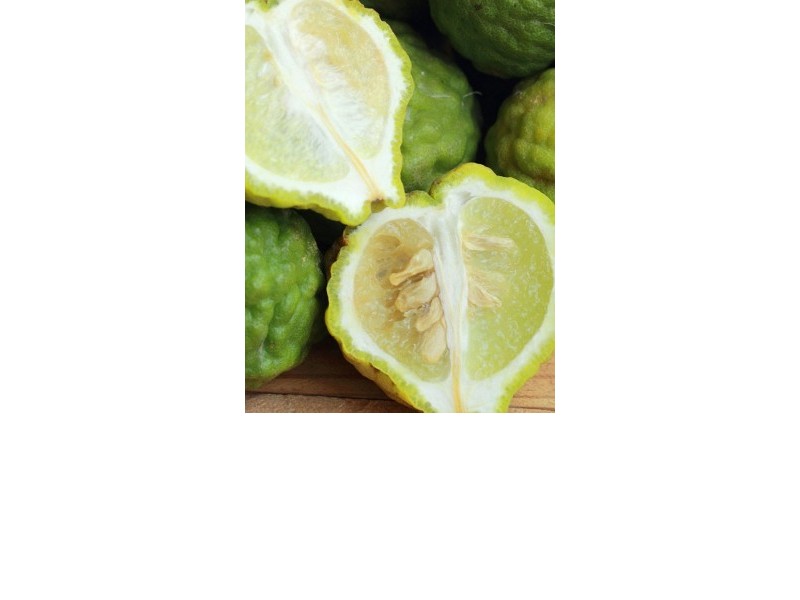 BERGAMOT essential oil