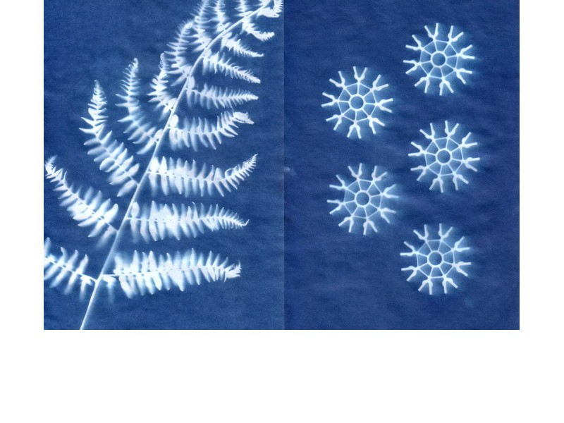 CYANOTYPE Printing set  A + B 250 ml + 250 ml