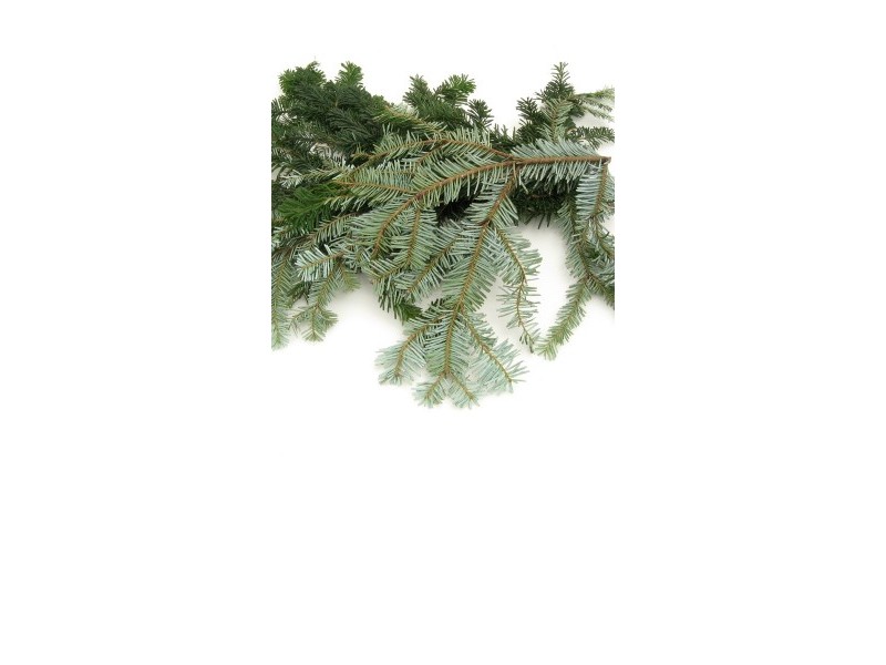 FIR - natural essential oil