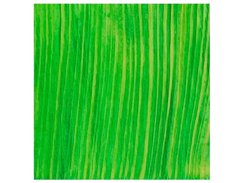 REVIVO spirit stain BRILLIANT GREEN 10 g